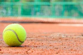 Tennis News